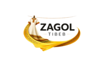 zagol-tibeb.webnode.com.et